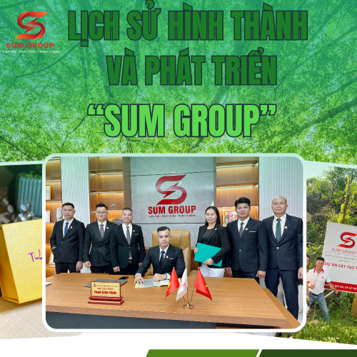 Lịch Sử Hình Thành Và Phát Triển